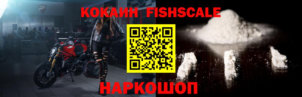 COCAIN FishScale Сыктывкар