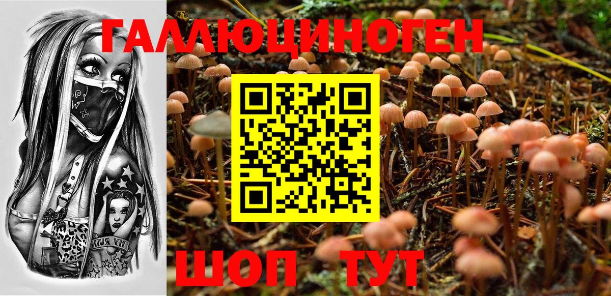 Псилоцибиновые грибы MAGIC MUSHROOMS Сыктывкар