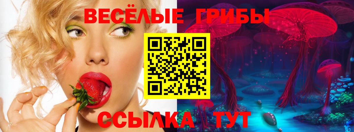 Галлюциногенные грибы Psilocybine cubensis  Вход с VPN  Сыктывкар 